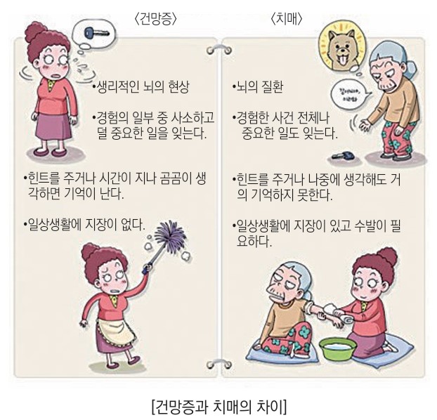 /user/h/hyosarangcare/editor/2502/d044b9b83d38e1dfbc9323d645b0d63f_1740027314_9032.jpg 이미지크게보기