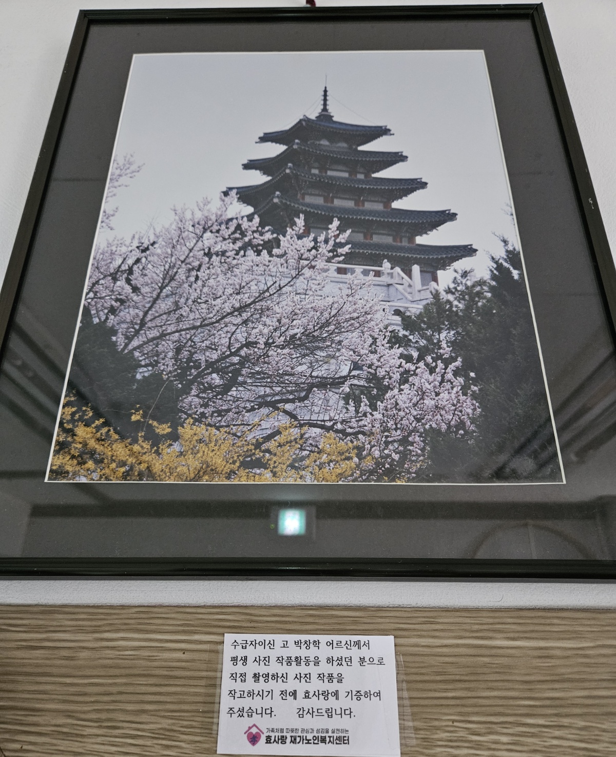 /user/h/hyosarangcare/editor/2504/9f0f8fbc88b6405f6b083b2ae81b258c_1744333297_5667.jpg 이미지크게보기