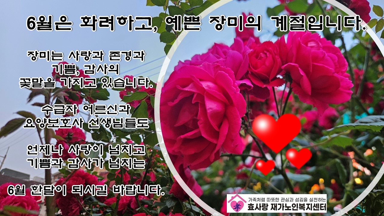 /user/h/hyosarangcare/editor/2505/4ce58fabbd26f9281481dc0248099973_1748668601_588.jpg 이미지크게보기