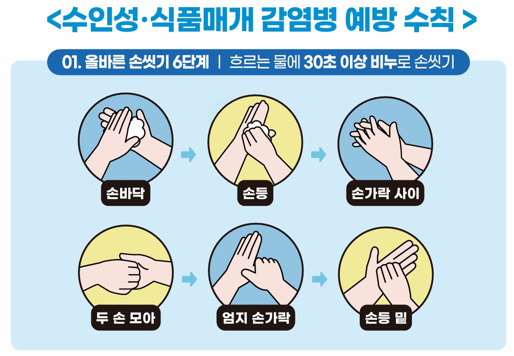 /user/h/hyosarangcare/editor/2506/8eabad7833c8aeae9276eecb4155ccb9_1750140601_4167.jpg 이미지크게보기