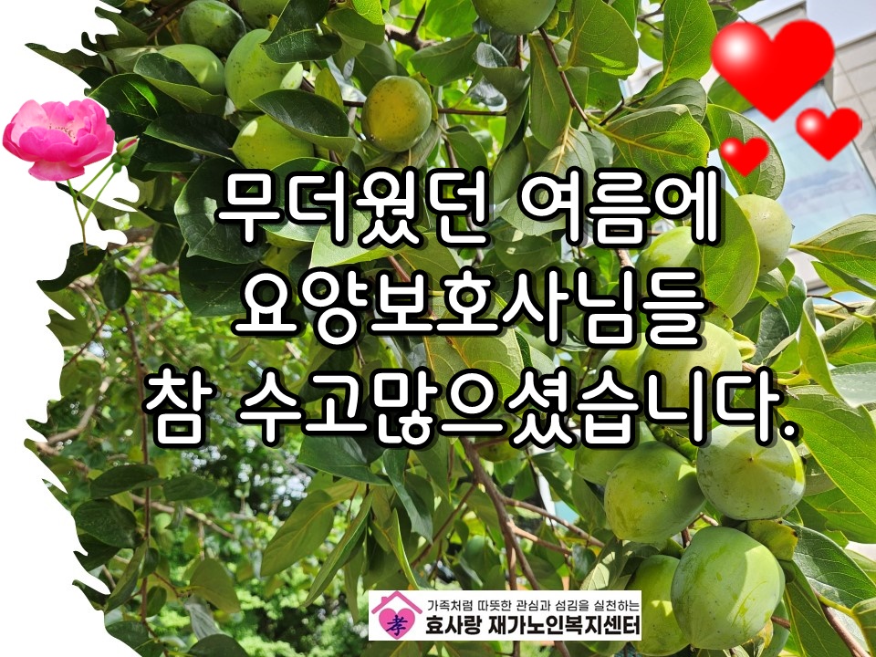 /user/h/hyosarangcare/editor/2509/c49f2018335410c0e81968b750494c81_1757811985_0914.jpg 이미지크게보기